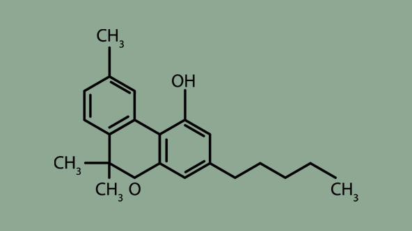 【Ura】THXE 75% 1ml CBD CBG CBN CRD Ura】THXE 75% 1ml CBD CBG CBN CRD Amazon.com: Terry